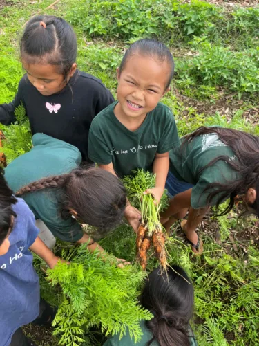 Maui County offers grants to protect cultural resources, strengthen connections to Hawaiian knowledge